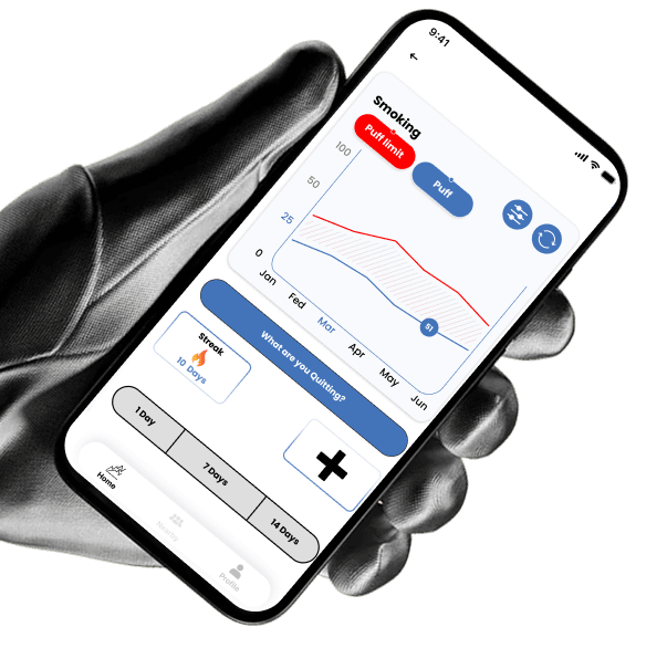 About project illustration